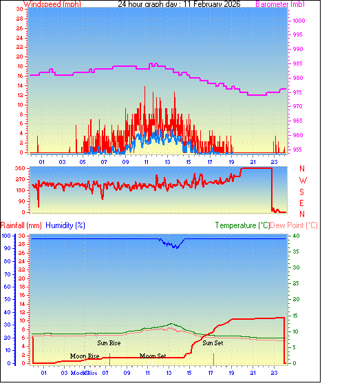 24 Hour Graph for Day 11